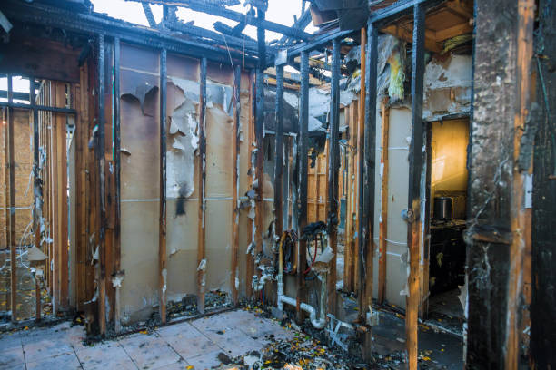 Professional Fire Damage Removal technician working in New Hope, MN
