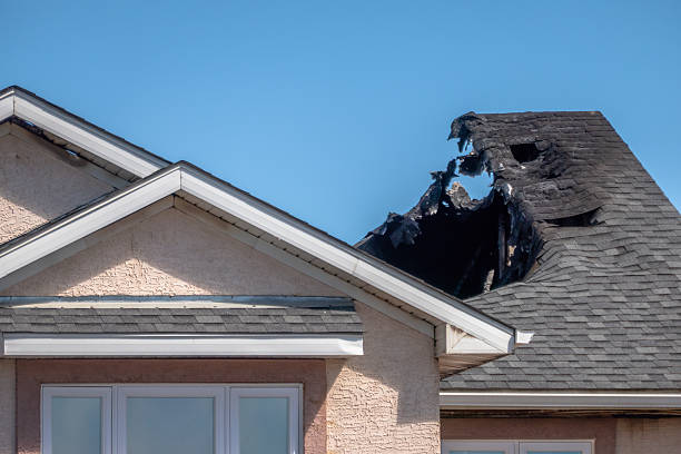 Top rated local Fire Damage Removal specialists in New Hope, MN